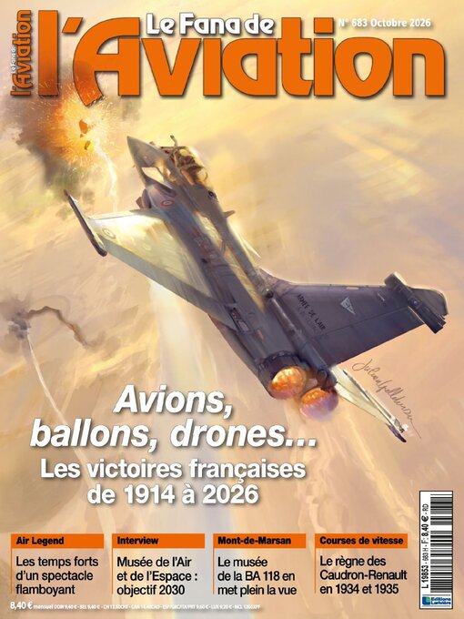 Cover image for Le fana de l'aviation